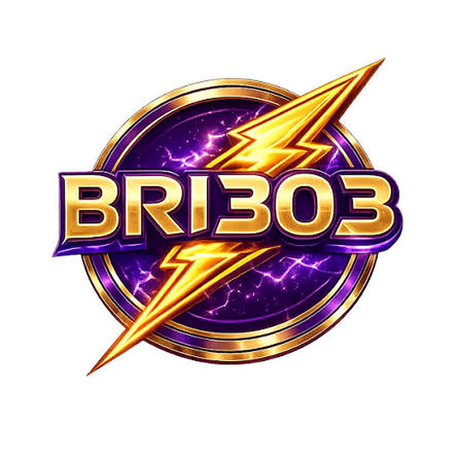 bri303